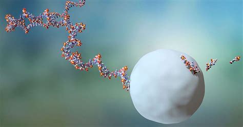 Check spelling or type a new query. Ribosomes Optimized for Speed, Flexibility | Evolution News
