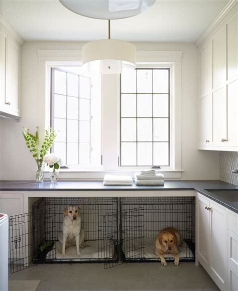 Christopher Ai On Instagram A Pet Friendly Laundry Room