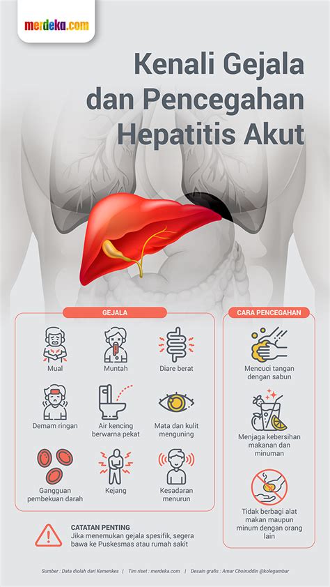 Infografis Kenali Gejala Dan Pencegahan Hepatitis Akut Wanieta News
