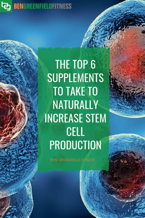Top 6 Supplements For Boosting Stem Cells Naturally Stem Cells Stem