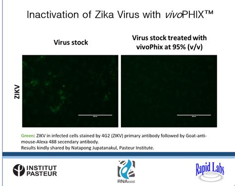 Zika Virus Successfully Inactivated Using Vivophix Rapid Labs