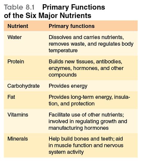 Why Are The Six Nutrients Important For The Body Are Tortilla Chips