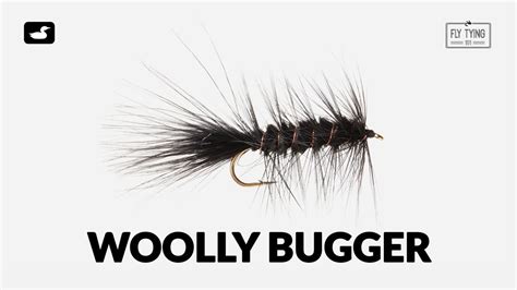 Fly Tying Tutorial Woolly Bugger Youtube