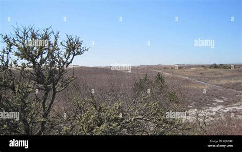Scenic View Of Monomoy National Reserve Stock Photo Alamy