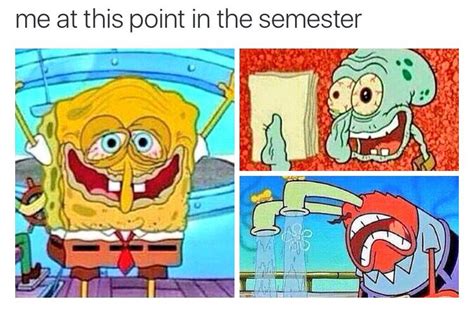 19 Spongebob Memes About College Factory Memes