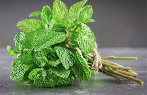 Fresh Mint Can Be A T