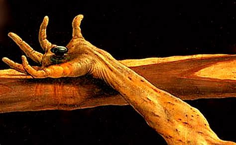 37 grunewald crucifixion paintings ranked in order of popularity and relevancy. Father Julian's Blog: Grunewald's Crucifixion - Hands and Feet