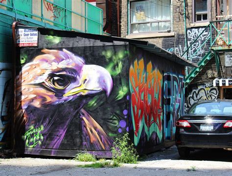 Graffiti Tour Toronto - Street Art in Toronto | Toronto street, Street art, Amazing street art