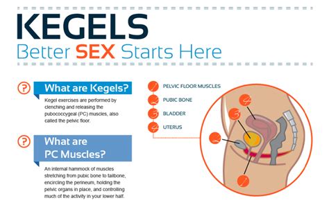 Kegel Exercise Ball Kegel Exerciserest Tighten Vagina Massage Kegel