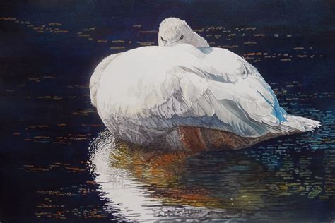 Swan Watercolor At Getdrawings Free Download