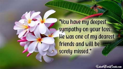 Sympathy Quotes For Friend Inspiration