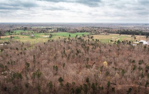 40 acres in Shannon County, Missouri