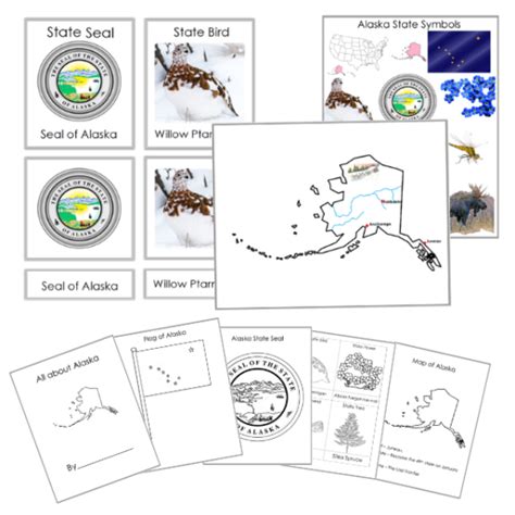 Alaska State Symbol 3 Part Cards Montessori