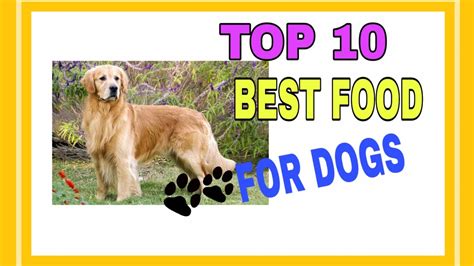 In dogs, colitis is a term often used to describe multiple gastrointestinal conditions. TOP 10 BEST DOG FOODS - YouTube
