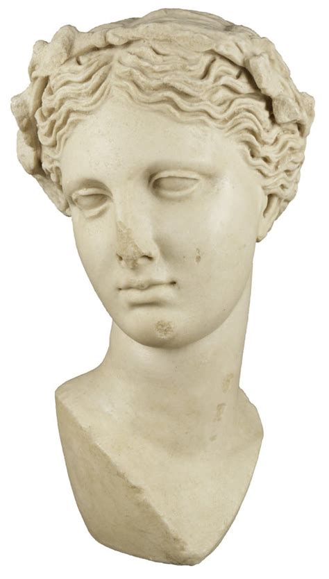 A Modern Plaster Head Of Aphrodite Collection Wolfs Fine Paintings