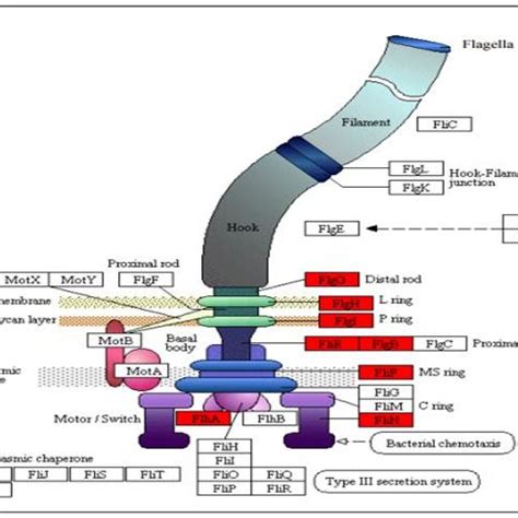 Food hunter@parttime fisherman@bundle clothing lover@umyremedy@makantravel. Wan Syaidatul Aqma WAN MOHD NOOR | Senior Lecturer | BSc ...