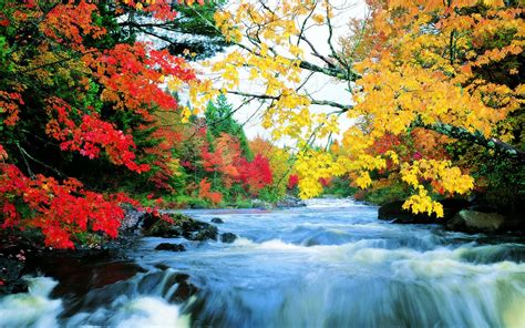 Autumn Waterfall Hd Wallpaper Background Image 1920x1200