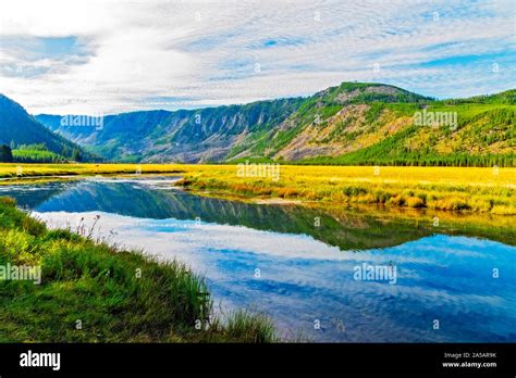 River Running Through Valley Of Golden Yellow Grass Fields With Forest