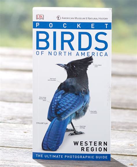 Birds Of North America Guide Books Guide Book North America America