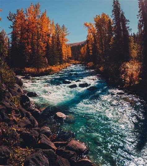 Autumn Landscape Scenery Alaska
