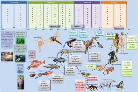 Esquema Eras Geologicas Origen De La Tierra Mapa Conceptual Tecnicas De Enseñanza