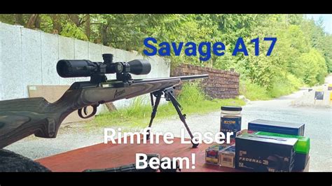 Savage A17 Review 17 Hmr Ammo 100 Yard Accuracy Test 25 Round Butler