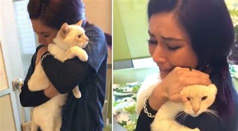 Woman Finds Her Lost Cat After Nearly Two Years