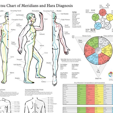 Shiatsu Chart Of Acupuncture Meridians And Hara Diagnosis Etsy