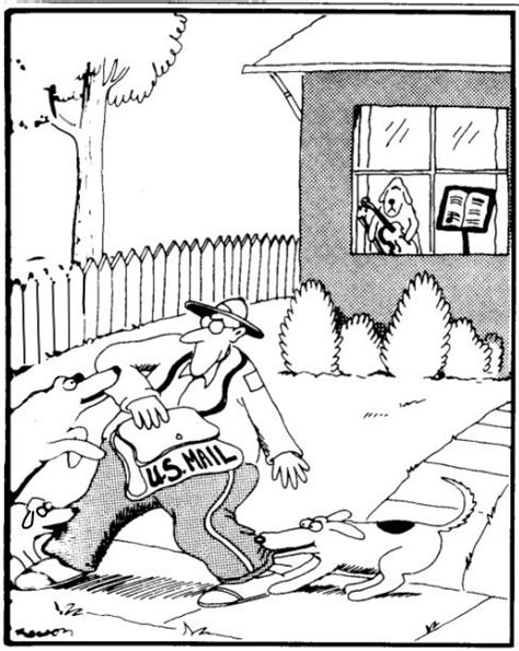 Funny Cartoons Gary Larson Cartoons Far Side Cartoons