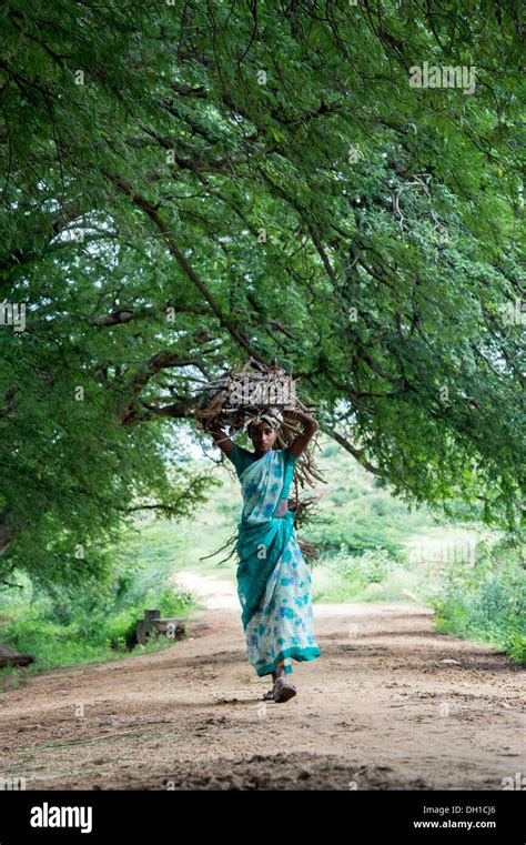 Rural Indian Village Woman Carrying Cut Firewood On Her Head In The