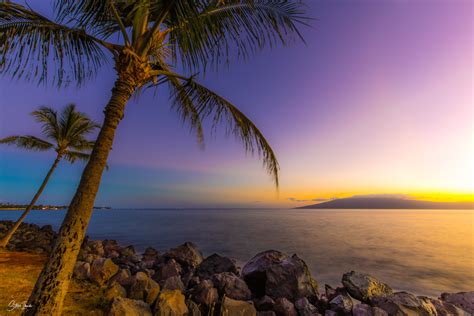 Hawaii Purple Sunset Beach Amazon Com Purple Sunset Beach Palm Tree
