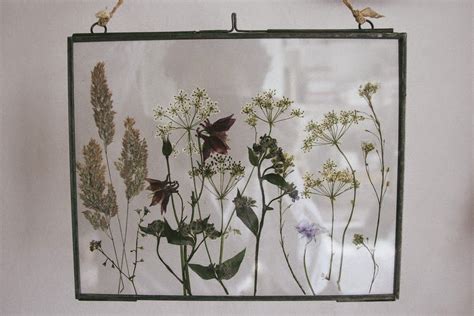 Pressed Wild Flowers In Glass Frames Flower Picture Frames Pressed