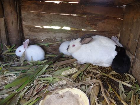 Maybe you would like to learn more about one of these? Farming God's Way | World Renew