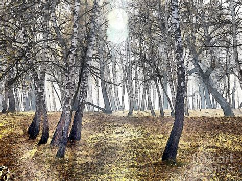 Birch Forest Painting Painting By Odon Czintos