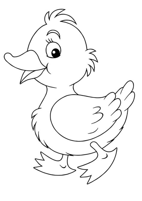 duckling coloring pages    print