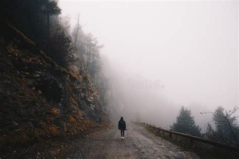 Man Walking In The Foggy Forest Stock Image Image Of Green Cold
