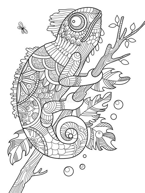 Here are 10 free printable chameleon coloring pages for your kid. Chameleon Coloring Book For Adults Vector Stock Vector ...