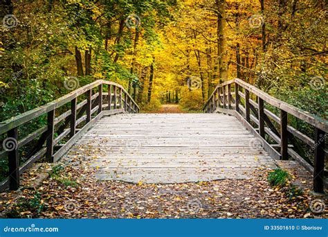 Bridge In Autumn Park Stock Photo Image Of Light Path 33501610