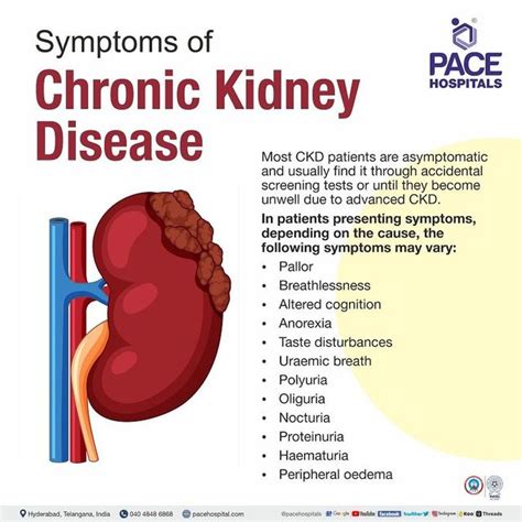 Chronic Kidney Disease Causes