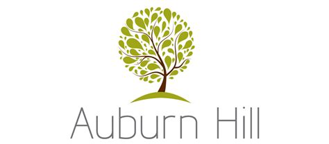 Auburn Hill Brands Of The World™ Download Vector Logos And Logotypes