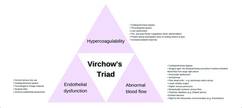Contributors To Virchows Triad Present In Fontan Patients