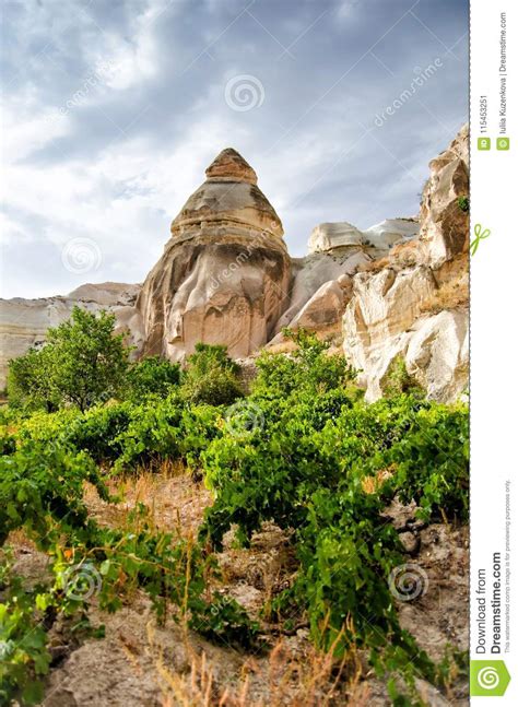 Rose Valley Goreme Cappadocia Turkey In Summertime Stock Image Image