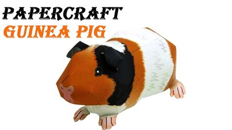 Papercraft Animal Guinea Pig A Paper Youtube