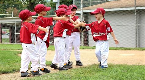 How Much Does It Cost To Play Little League Baseball Baseball Wall