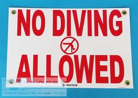 No Diving Allowed Sign Halogen Supply