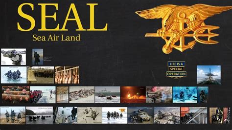 Navy Seals Explained What Is A Sea Air Land Youtube