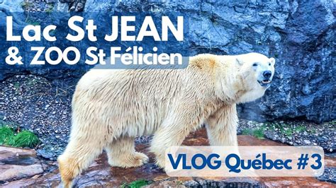 On A Fait Le Tour Du Lac Saint Jean Zoo Sauvage Vlog Québec 3