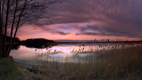 Lakeforest1366x768bing Beautiful Landscape Pictures Sunset Nature