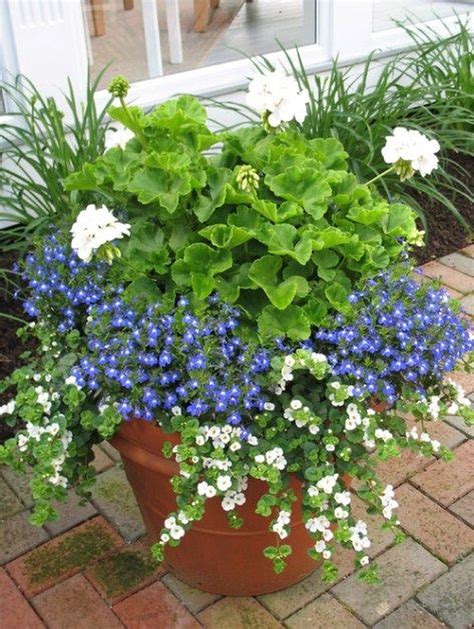 Lovely Combination Planting Container Gardening Ideas 23 Homyhomee