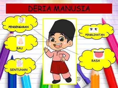 Pada kenyataannya selama lebih lima puluh tahun usia republik indonesia, pelaksanaan penghormatan, perlindungan, atau penegakan hak asasi manusia masih jauh dari memuaskan. BAHAGIAN TUBUH MANUSIA TAHUN 1 - YouTube